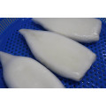 Оптовые тодароды/Illex Frozen Squid Tube